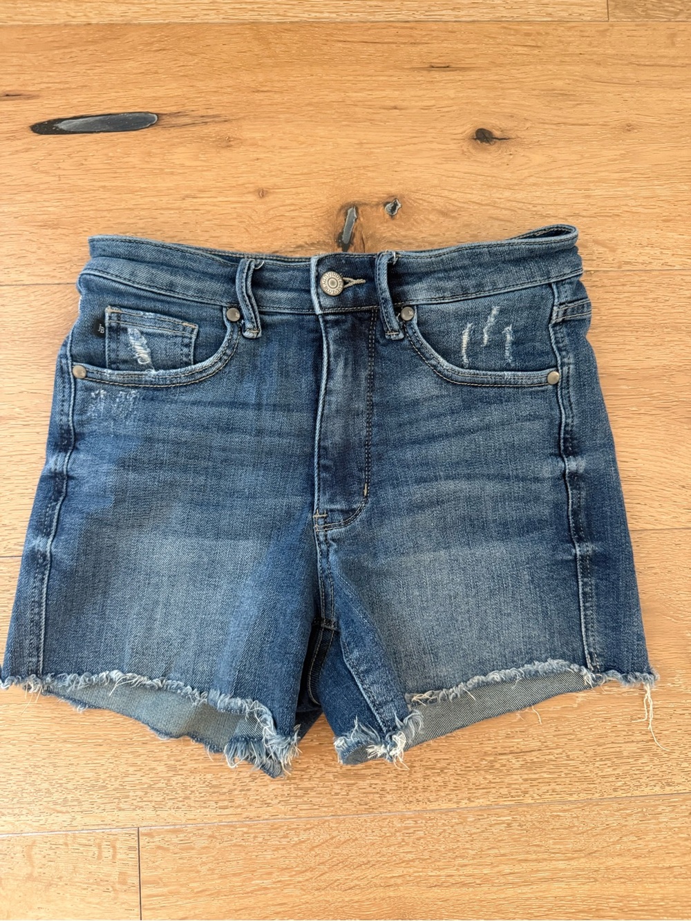 Judy Blue High-Rise Raw Hem Denim Shorts - Blue